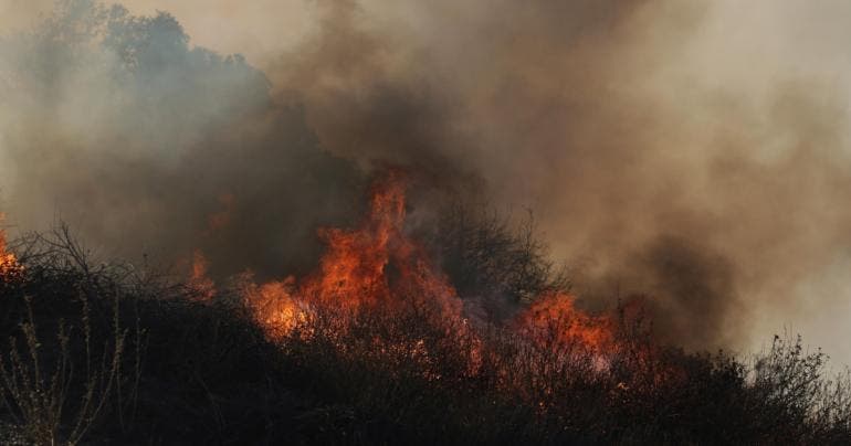 incendio Los Angeles 24 muertos