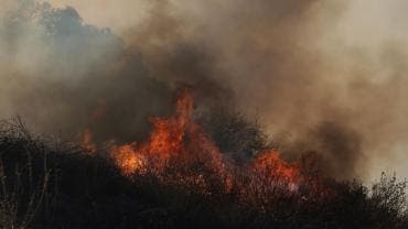 incendio Los Angeles 24 muertos