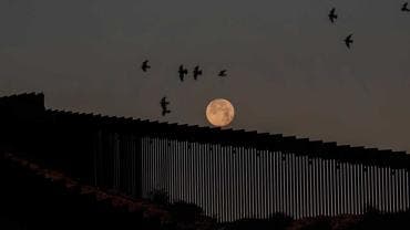 Luna Lobo en Tijuana