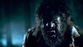 Wolfman