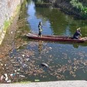 muere joven cae canal aguas negras Santa Maria Tomatlan