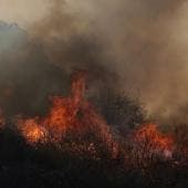 incendio Los Angeles 24 muertos