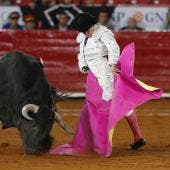 toros