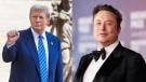 Trump Musk millon dolares America PAC